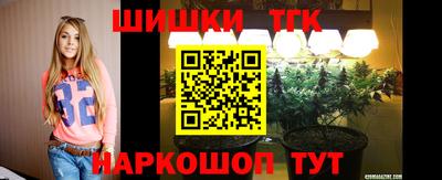 гашик Обь