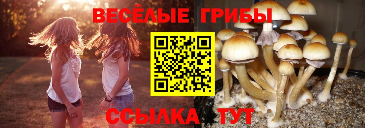 Галлюциногенные грибы MAGIC MUSHROOMS Анжеро-Судженск